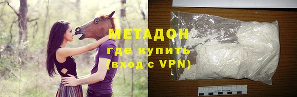 крисы Бородино
