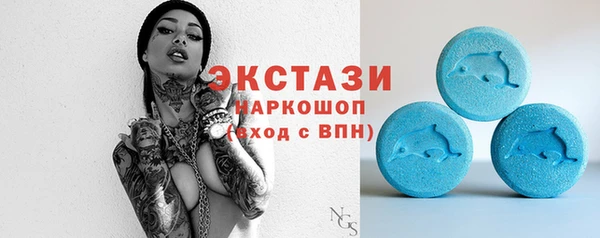 крисы Бородино