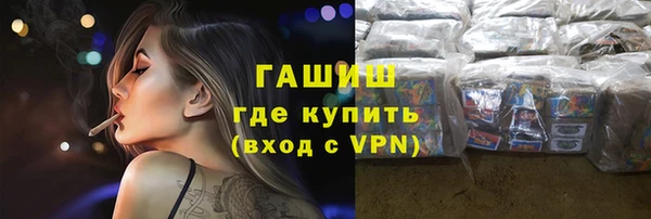 крисы Бородино