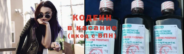 крисы Бородино