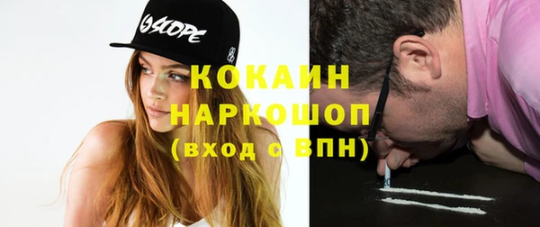 крисы Бородино