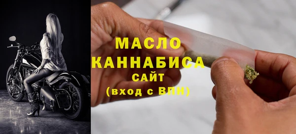крисы Бородино