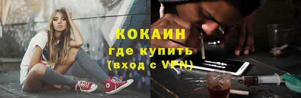 крисы Бородино