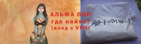 крисы Бородино