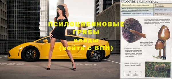 бошки Бронницы