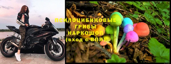 бошки Бронницы