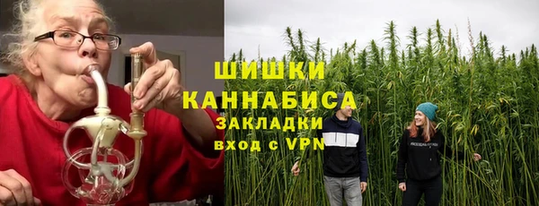 крисы Бородино
