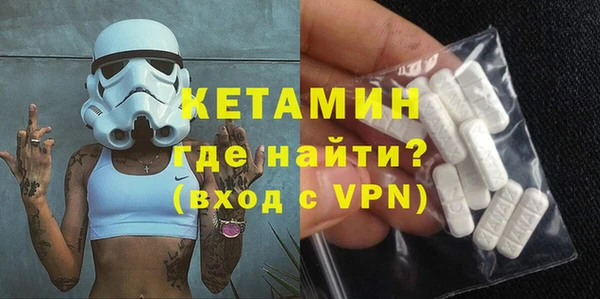 крисы Бородино