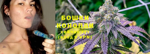 бошки Бронницы