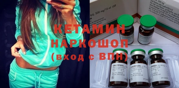 крисы Бородино