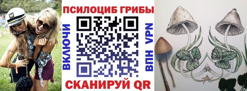 Галлюциногенные грибы мухоморы  Владимир 